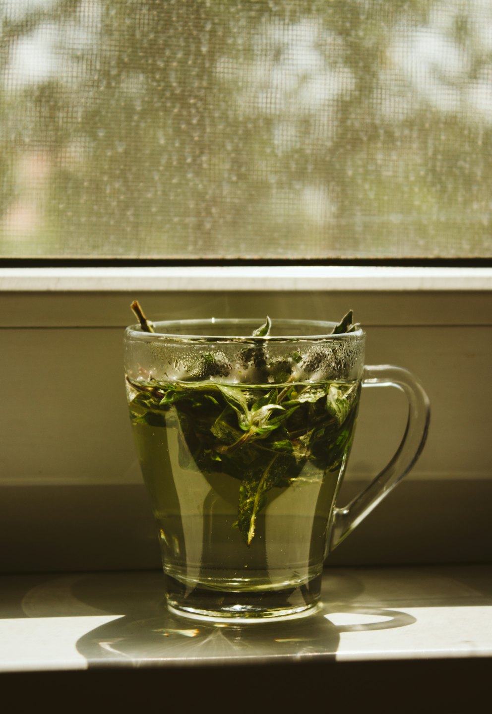 Steaming herbal tea in a glass mug on a window sill.