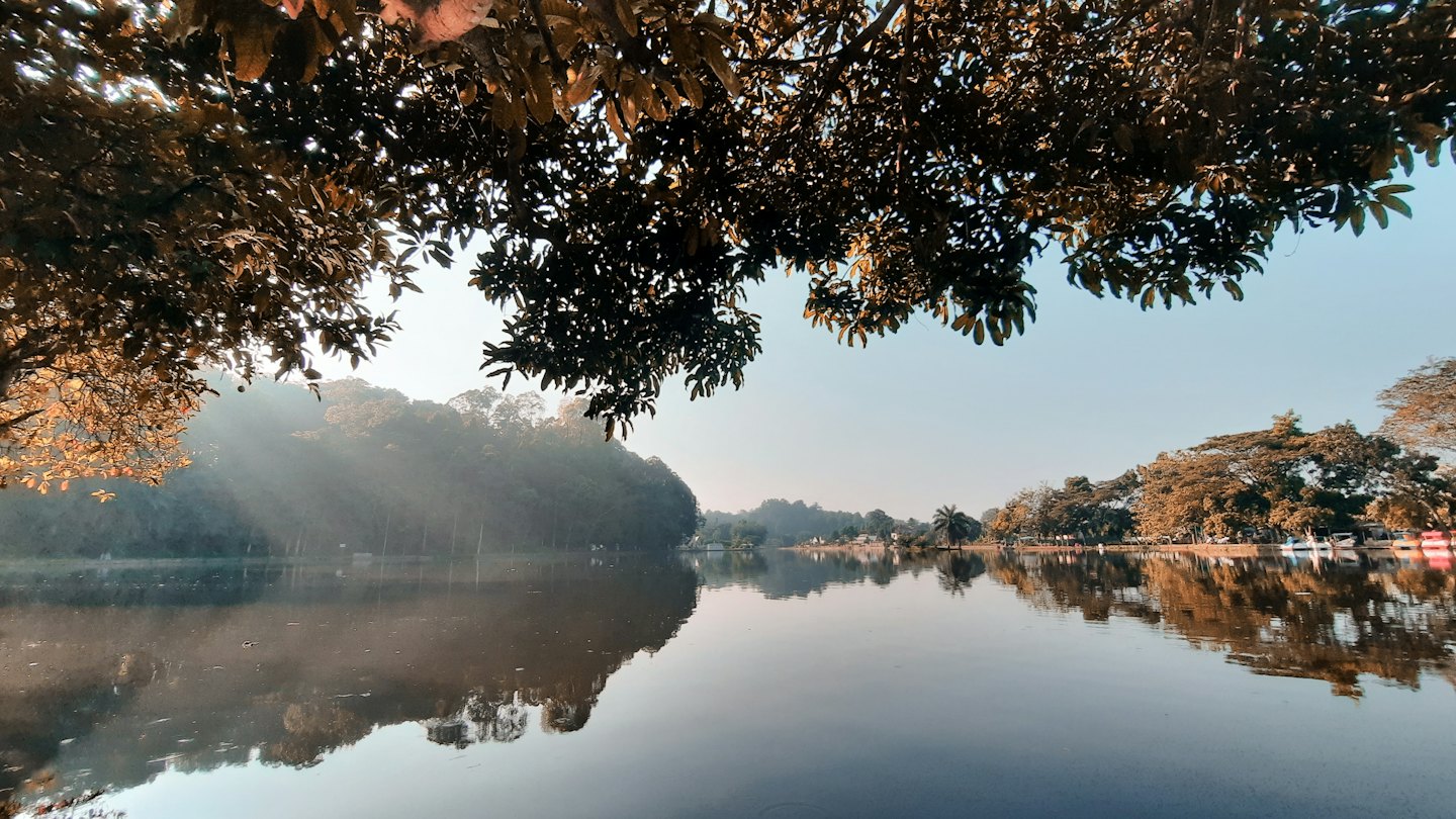 Calm lake reflecting trees and sky at sunrise.